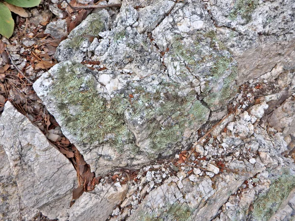 Imagen Abstracta Natural Rocas Coloridas Encontradas Monte Lemmon Este Tucson —  Fotos de Stock