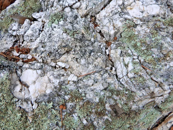 マウント レモン ツーソン アリゾナ州の東で発見されたカラフルな岩の自然の抽象的なイメージ — ストック写真