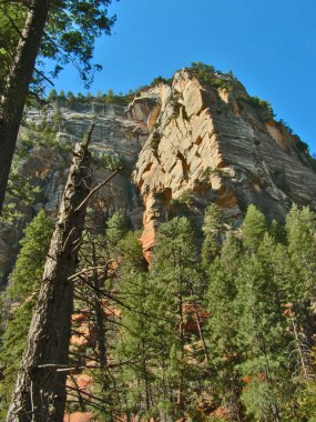 Batı çatal Oak Creek Kanyon Sedona, Arizona kuzeyinde yukarıda kırmızı kaya duvarları kule.