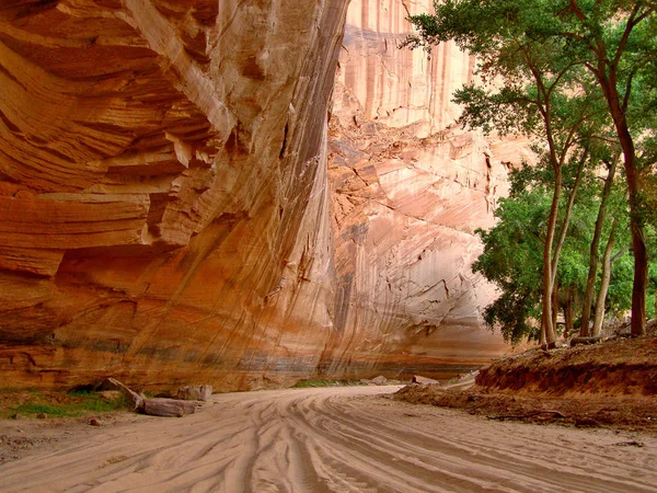 Une Route Dans Sable Lit Rivière Sous Les Massives Parois — Photo