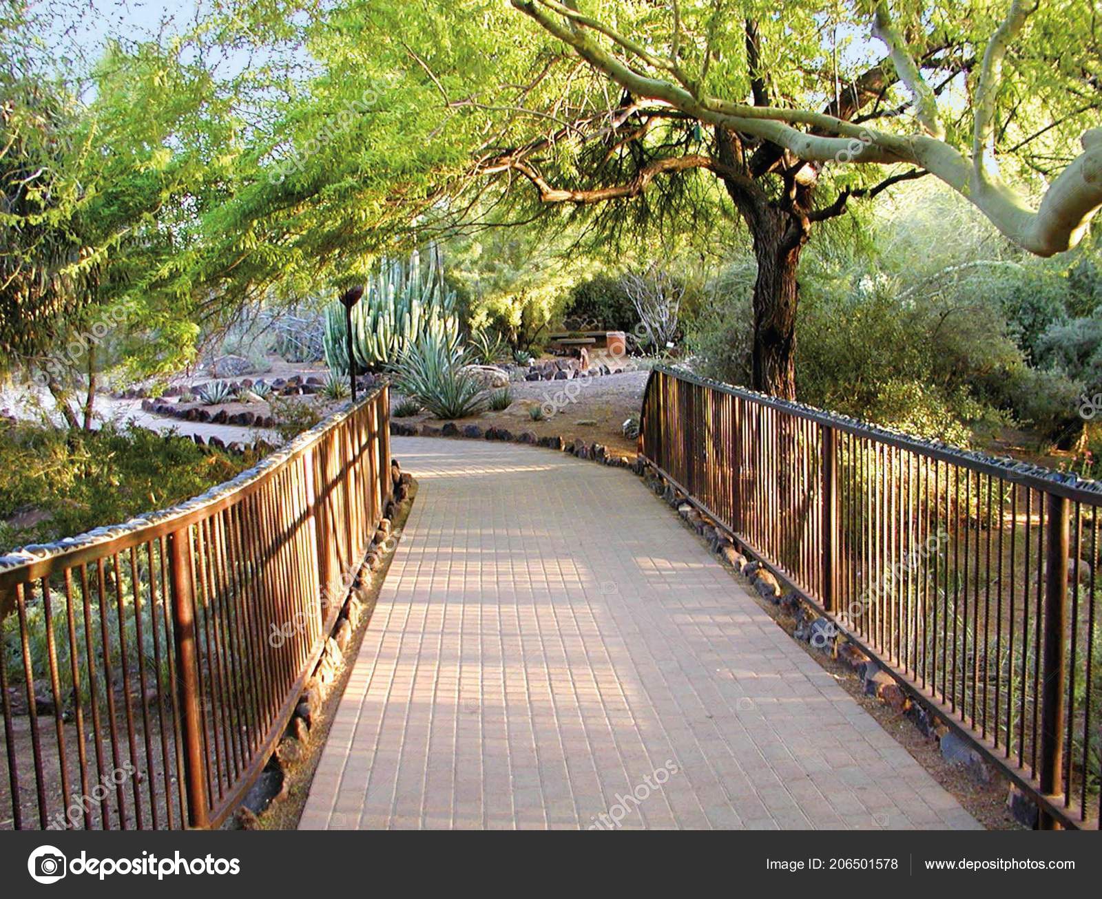 Bridge Entrance Desert Botanical Gardens Phoenix Arizona Stock