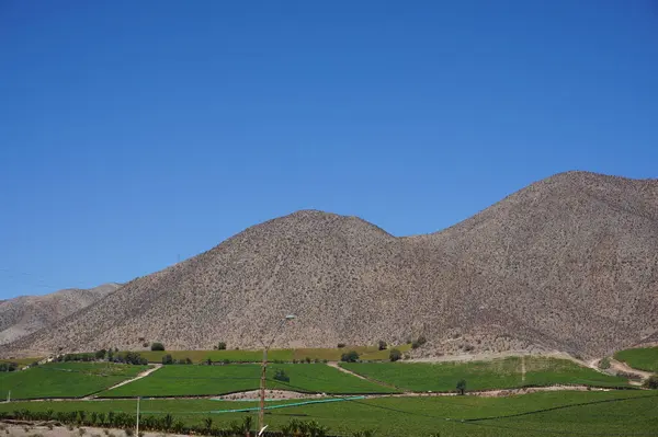 Paisaje en Valle de elqui