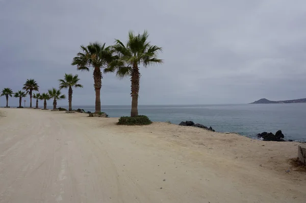Şili 'de Playa Tongoy
