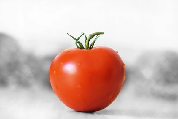 Tomato Fog Background — Stock Photo, Image