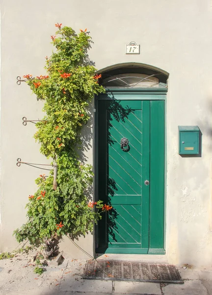 Cephe aslan kapı tokmağı ve yeşil posta kutusu ile tatlı eski yeşil kapı ile yakınındaki duvara işte güzel sarmaşık çiçek