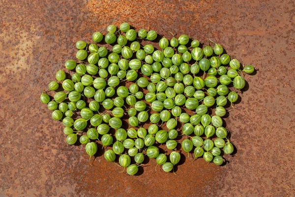 Paslı metal yüzeyi taze Bektaşi üzümü bulutu