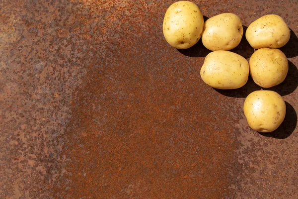 Paslı metal yüzeyi arka plan olarak yeni bir hasat olarak ham patates