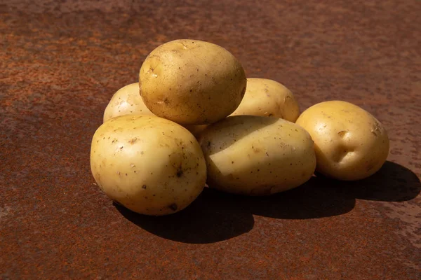 Сырой картофель как новый урожай на ржавой металлической поверхности на заднем плане — стоковое фото