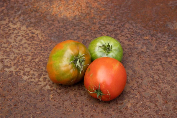 Green and red tomatoes not ideal from new harvest on rusty melallic surface background — Stock Photo, Image