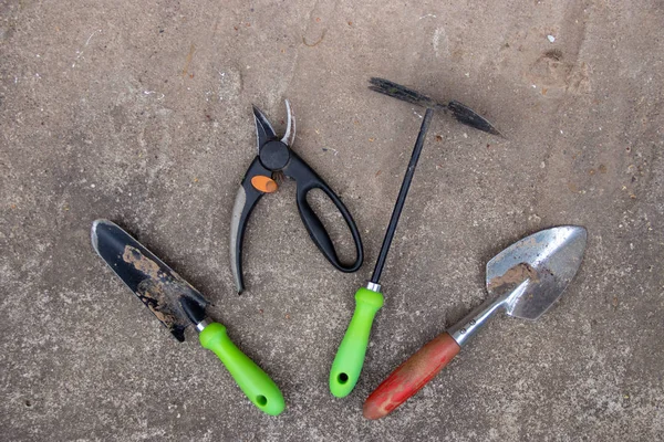 Çimento zemin arka plan üzerinde renkli kolları ile bahçe araçları ayarla