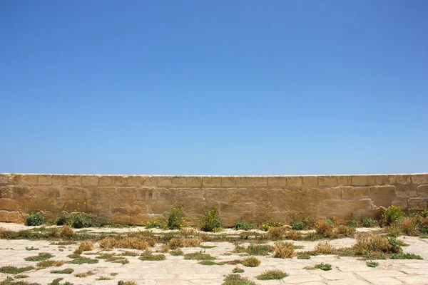 Old Low Brick Wall Scarce Grass Ans Small Yellow Flowers — Stock Photo, Image