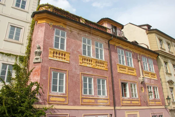 Bir büstü heykeli ve duvarda bahar yeşil çalı ve sarmaşık ile güzel eski kırmızı pembe evin Köşesi. Çek Cumhuriyeti