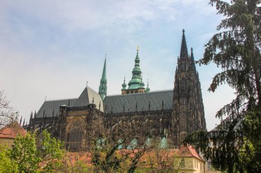 St. Vitus Katedrali'nin Gotik kuleleri, bahar çiçekleri ile dalmış