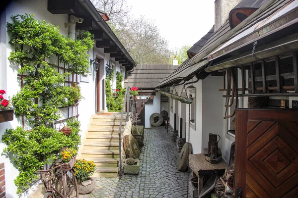 Cozy old courtyard medieval narrow cobbled street and small ancient houses in Novy Svet, Hradcany district. Young greenery on white walls — Stock Photo, Image