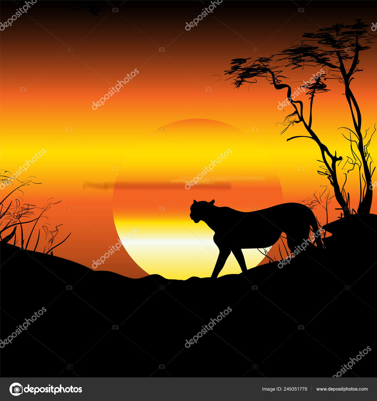 Африка Саванна Рассвет Закат Гепард Силуэт Панорама Природа.