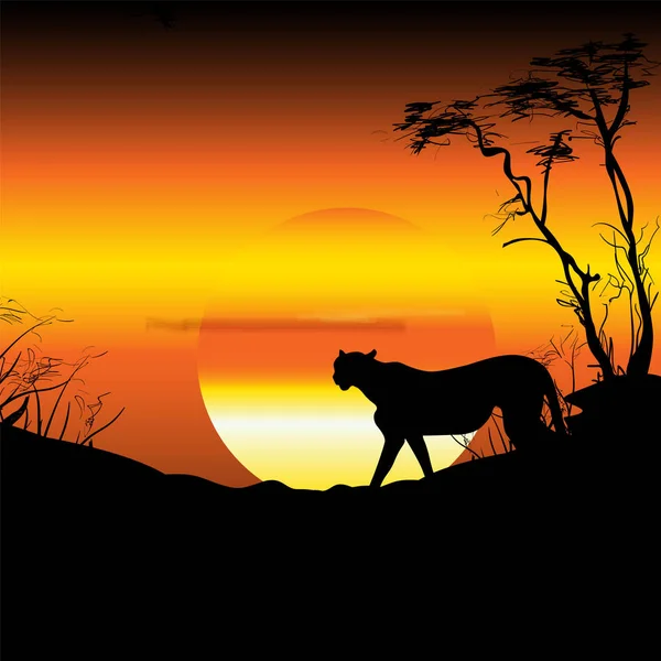 Africa Savana Alba Tramonto Cheetah Silhouette Panorama Natura Viaggi — Vettoriale Stock