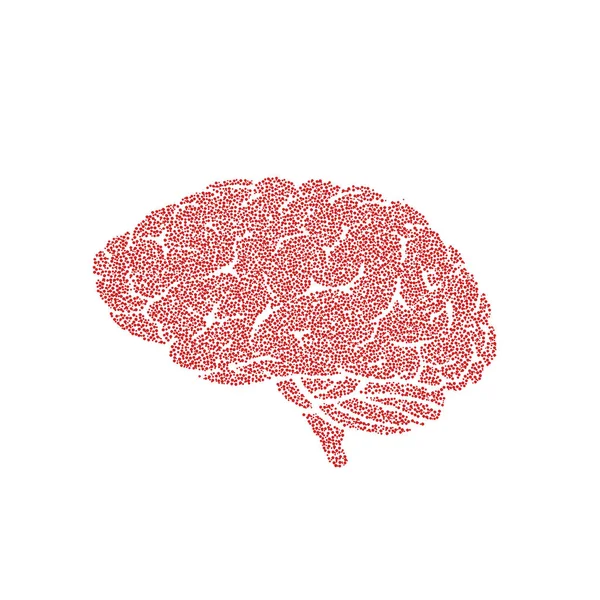 Brain illustration in red and white colors.