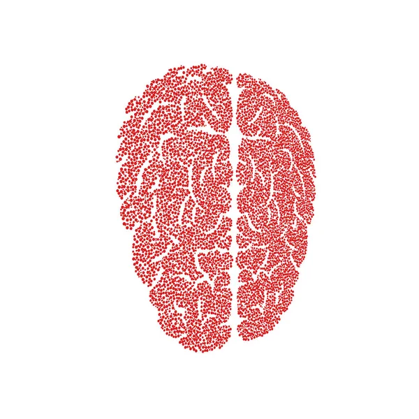 Ilustración Cerebral Colores Rojo Blanco —  Fotos de Stock