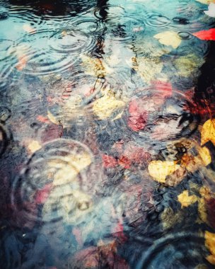 Yağmur damlaları ve sonbahar leavesunderwater derin bir su birikintisi içinde renkli soyut.