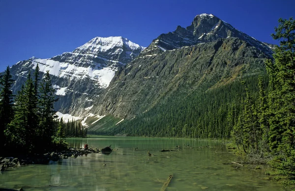 Pico cubierto de nieve del Monte Edith Cavell, Parque Nacional Jasper, C — Foto de Stock