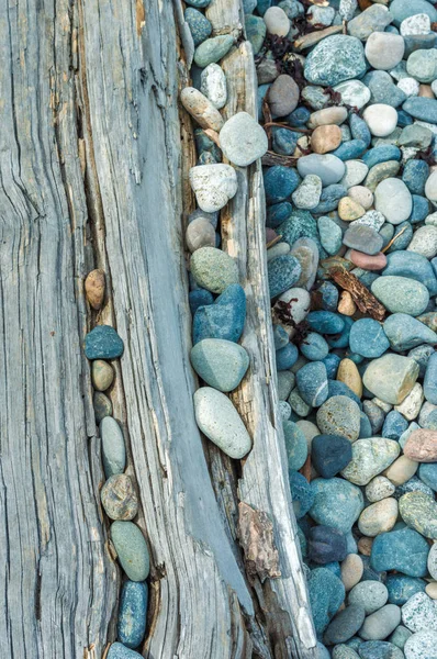 Strandkieselsteine und Treibholzstämme, britische Kolumbia, Kanada. — Stockfoto