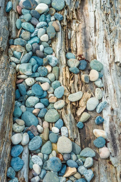 Guijarros de playa y troncos de madera, Columbia Británica, Canadá . — Foto de Stock