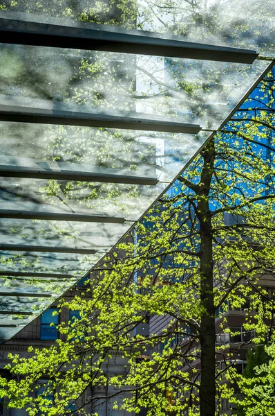 太阳光现代透明玻璃建筑入口悬垂与镜头耀斑和树木的抽象，市中心城市设置. — 图库照片