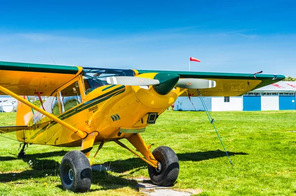 Május 7, 2019-Delta British Columbia: egy motor prop Bearhawk 250hp sík parkolt a Delta Heritage Airpark. — Stock Fotó