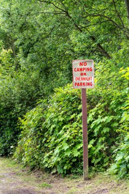 Yeşil ağaçların yanında kırsal yolda kırmızı harflerle kamp veya geceleme park tabelası yok.