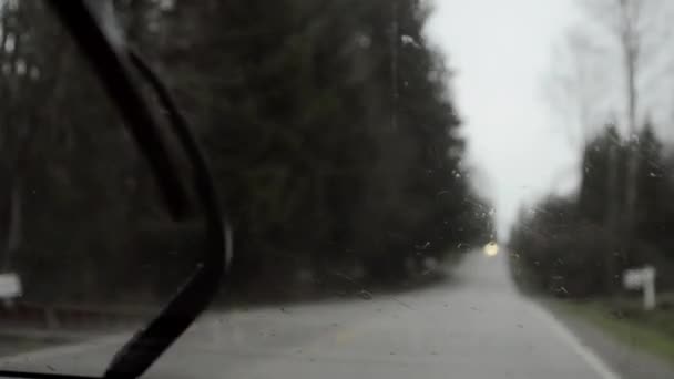 Driving in rain, out of focus background and headlights, dreary day, handheld. — Stock Video