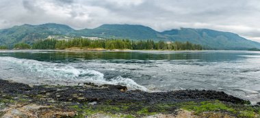 Yüksek gelgit de çalkantılı tehlikeli gelgit rapids, Skookumchuck Narrows, Bc, Kanada.