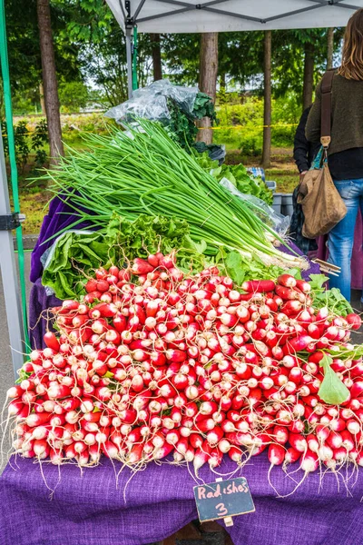 Weergave van heerlijk uitziende verse rauwe rode radijs te koop bij lokale boerenmarkt — Stockfoto