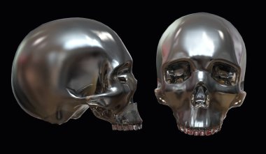 3D illüstrasyon izole arka plan üzerinde. İnsan kafatası.