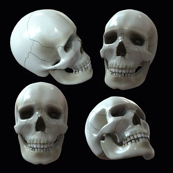 Illustration Isolated Background Human Skull — Stock Photo, Image