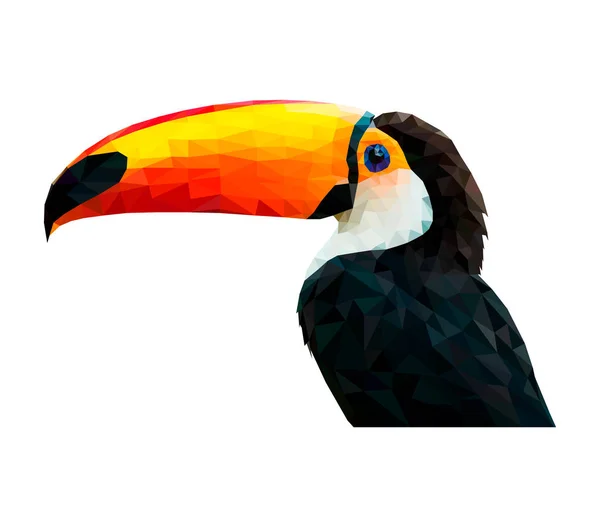 Tropisk fågel — Stock vektor