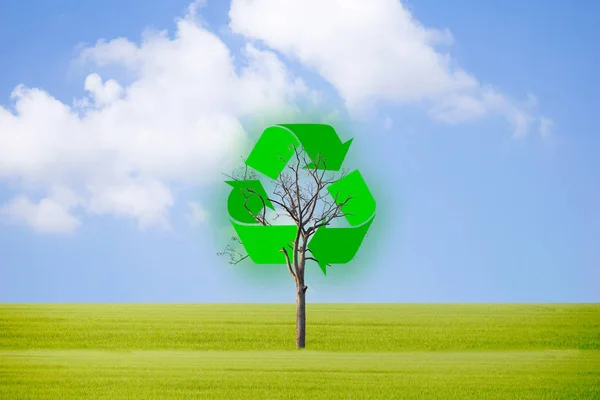 Recycle waste to protect the environment and trees.