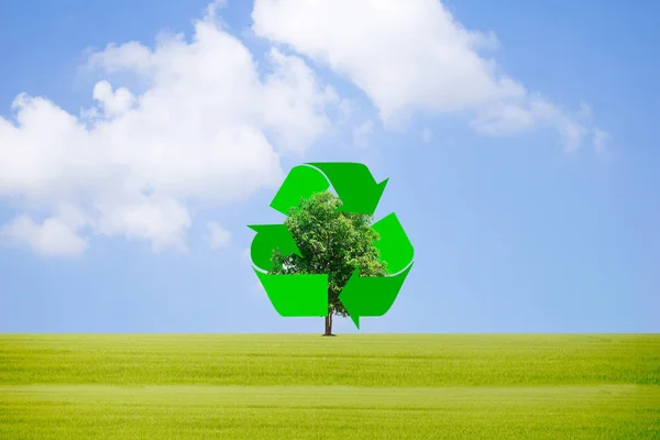 Recycle Waste Protect Environment Trees — Stock Photo, Image