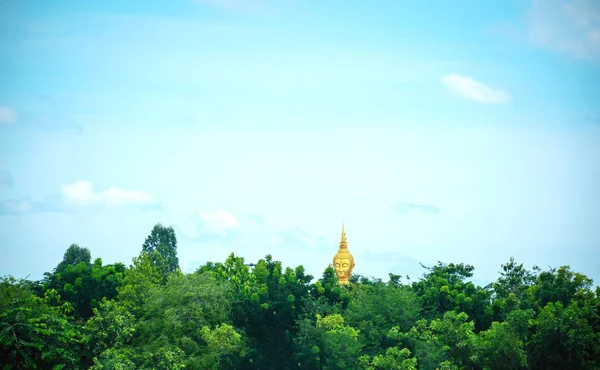 Buda Ormanda — Stok fotoğraf