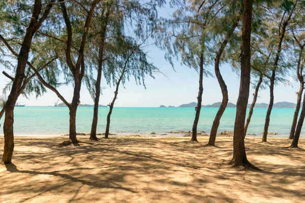 Zee Strand Zomer Met Een Vakantie Samae San Chonburi Thailand — Stockfoto