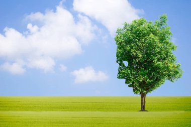 Bahçe park büyük bitki yüz ağaç bakmak dünya çevre