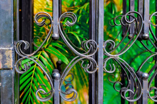 Wrought iron grill doors in the park.