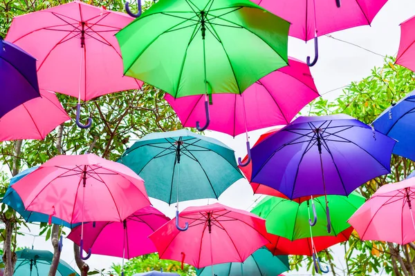 Deštník Mnoho Barev Plovoucí Stromě — Stock fotografie