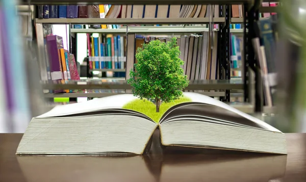 Biblioteca Livros Educação Árvores Meio Ambiente Colocada Sobre Mesa — Fotografia de Stock