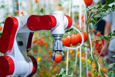 Kimyasal gübre sprey veya verimliliği artırmak için çalışmaya akıllı robot çiftçi ile tarım fütüristik robot Otomasyon hasat