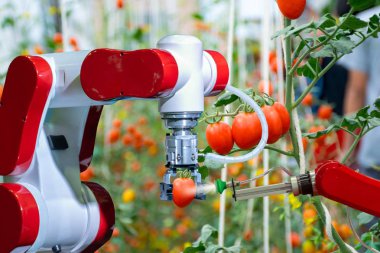 kimyasal gübre veya artış verimliliği sprey için çalışmaya akıllı robot çiftçilerin tarım fütüristik robot otomasyonu
