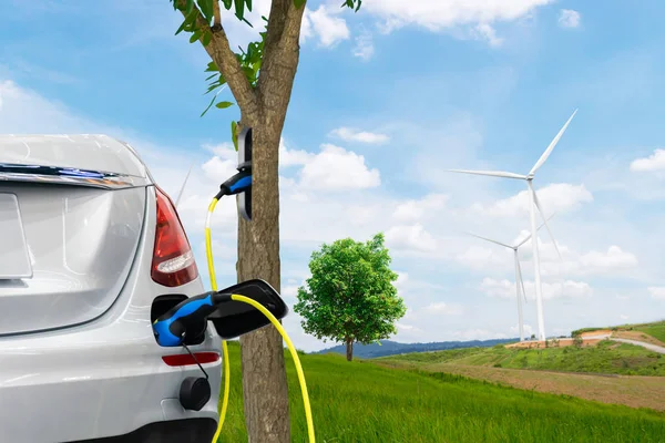 Erneuerbare Energien Für Elektroautos Der Zukunftsbaum — Stockfoto