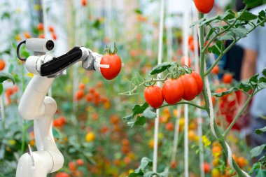 kimyasal gübre veya artış verimliliği sprey için çalışmaya akıllı robot çiftçilerin tarım fütüristik robot otomasyonu