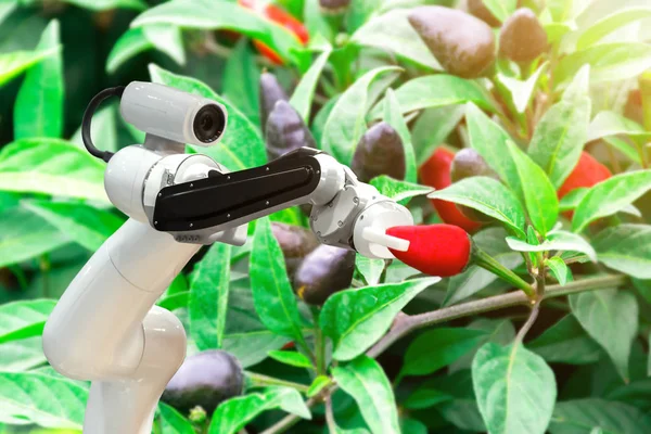 Tarım ürünleri makine otomatik robotlar mekanik kol çalışma teknoloji.