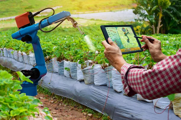 Agricultor Segurando Tablet Robô Braço Inteligente Trabalhar Tecnologia Máquinas Agrícolas — Fotografia de Stock