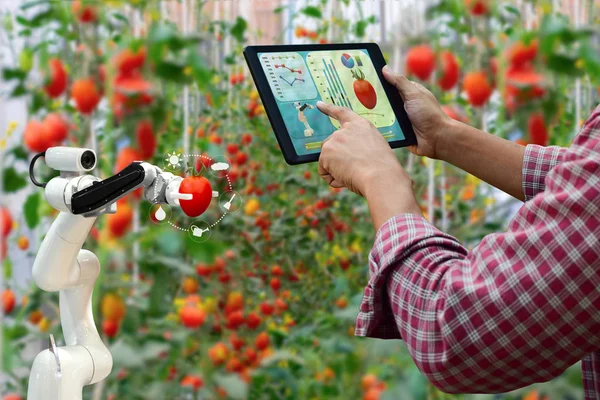Bir tablet akıllı kol robot hasat tutan çiftçi tarım makineleri teknolojisi çalışmak